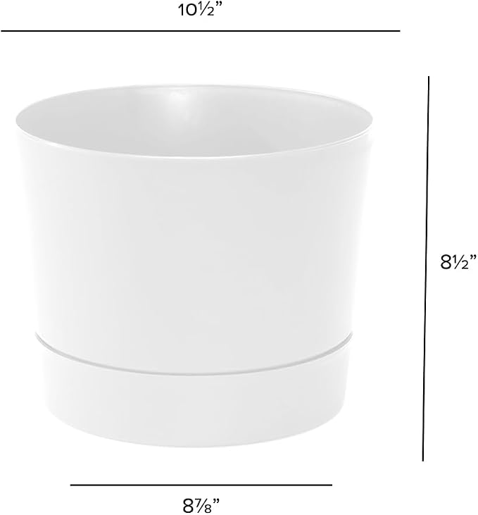 Root & Vessel Majestic Mid-Century Modern Low Profile Cylinder Pot, Matte White, 10.5"