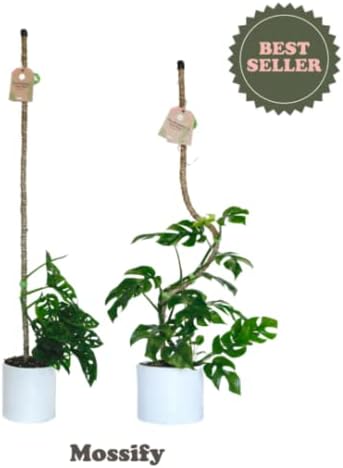 Mossify Bendable Coir Pole for Plants – 42” Premium Manila Coir Moss Pole Monstera Plant Support for Indoor & Outdoor Plant Climbing Support - Comes with Reusable Tape for Durable Plant Pole