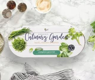 Buzzy Seeds Organic Windowsill Herb Kit - Metal Windowsill Planter - Complete Indoor Gardening Kit with Seeds, Coconut Husk Growing Medium & Genuine Pots - 100% Grow Guarantee