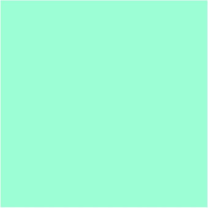 Royal Green Rectangular Color Coding Stickers 1.57inch x 0.75 inch Rectangle Label Colored Tags for Kids in Pastel Green (40mm x 19mm) - 300 Pack