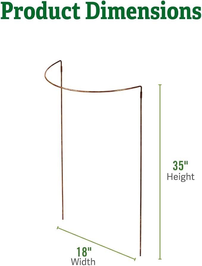 Gardener's Supply Company Jardin Half Round Metal Garden Plant Stakes | Sturdy Powder Coated Metal Outdoor Garden Plant Support Ring Border for Tomatoes, Flowers & Other Plants | 18" x 35" - Set of 2