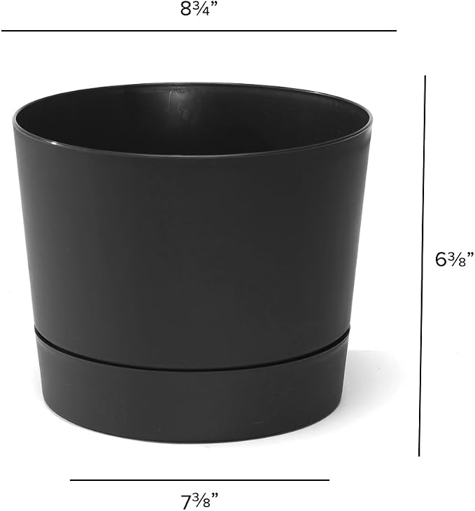 Root & Vessel Majestic Mid-Century Modern Low Profile Cylinder Pot, Matte Black, 8.5"