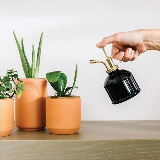 Modern Sprout Plant Mister, 8 oz Indoor Watering Can, Aesthetic Plant Sprayer & Water Mister Spray Bottle, Garden Watering Can for Seed Starting, Vintage-Inspired Gift for Father's Day - Black