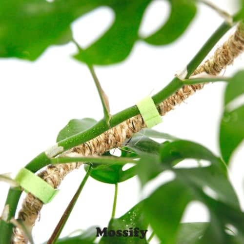 Mossify Bendable Coir Pole for Plants – 16” Premium Manila Coir Moss Pole Monstera Plant Support for Indoor & Outdoor Plant Climbing Support - Comes with Reusable Tape for Durable Plant Pole