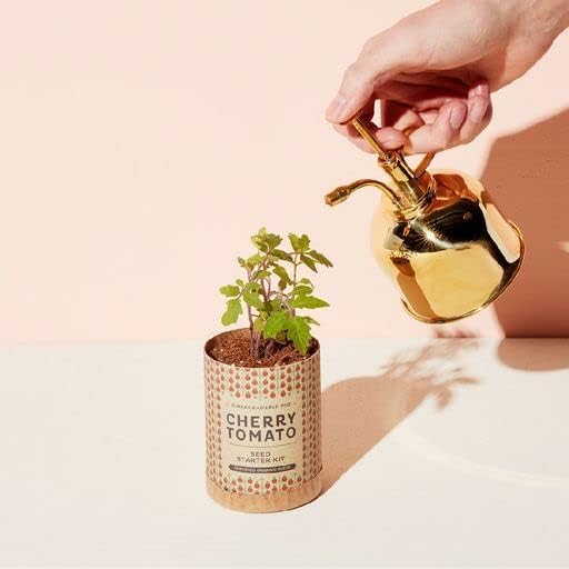 Modern Sprout Plant Mister, 8 oz Indoor Watering Can, Aesthetic Plant Sprayer & Water Mister Spray Bottle, Garden Watering Can for Seed Starting, Vintage-Inspired Gift for Father's Day - Brass