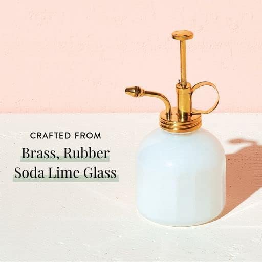 Modern Sprout Plant Mister, 8 oz Indoor Watering Can, Aesthetic Plant Sprayer & Water Mister Spray Bottle, Garden Watering Can for Seed Starting, Vintage-Inspired Gift for Father's Day - White