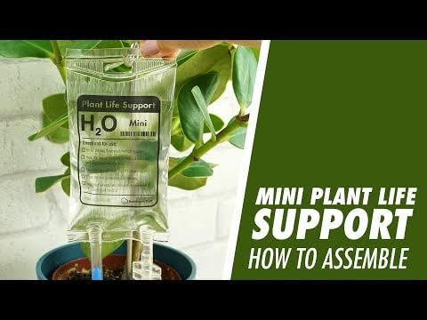 Bubblegum Stuff - Mini Plant Life Support Drip Irrigation Device For House Plants | Automatic Watering System | 3.5 Fluid Ounces - Plant Waterer For Indoor Plants…