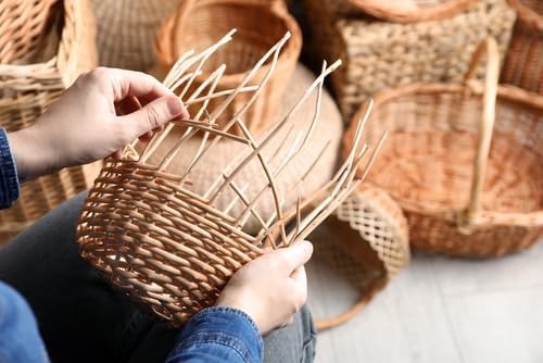 Basket Willow Cuttings to Grow - Used to Make Willow Basket Weaving or Willow Fence- Salix viminalis, Osier Willow (5 Cuttings)