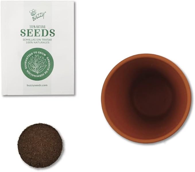 BUZZY Seeds Mini Terracotta Grow Kit 12-Pack - Mini Terracotta Pot Grow Set - Complete Indoor/Outdoor Gardening Kit with Seeds, Coconut Husk Growing Medium & Genuine Pots - 100% Grow Guarantee