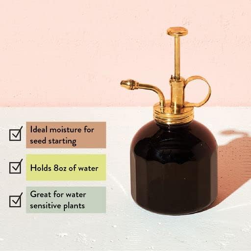 Modern Sprout Plant Mister, 8 oz Indoor Watering Can, Aesthetic Plant Sprayer & Water Mister Spray Bottle, Garden Watering Can for Seed Starting, Vintage-Inspired Gift for Father's Day - Black