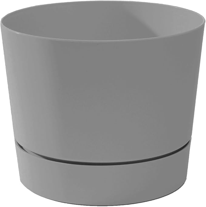 Root & Vessel Majestic Mid-Century Modern Low Profile Cylinder Pot, Matte Gray, 10.5"