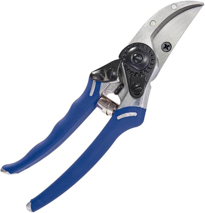 Dramm 18095 ColorPoint Bypass Pro Pruner, Sharp Pruners for Gardening, Heavy Duty Handheld Clippers - Blue