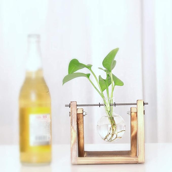 Kingbuy Plant Propagation Station Bulb Vase, 1 Bulb Vase | Air Plant Terrarium, Wooden Swivel Holder, Desktop Glass Planter, For Indoor Water Plants