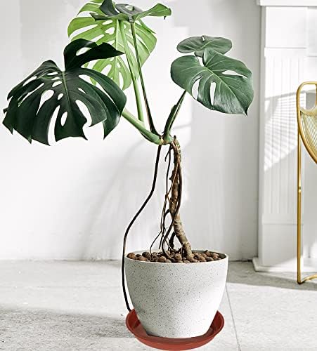 VUWEZ 6 Pack of 25 inch Plant Saucer, Plant Tray 25 Inch Round, Plant Saucers for Indoors, Plant Trays for Pots, Flower Pot Saucers, Pot Saucers for Planter 19-26" (25", Terracotta)