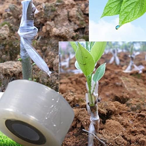 Nursery Grafting Tape Stretchable Self-Adhesive BIO-degradable 3cm x 100M