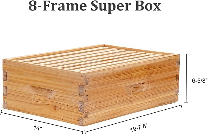 BeeCastle 8 Frame Langstroth Bee Hive Coated with Beeswax Includes Beehive Frames and Waxed Foundations (2 Deep Boxes & 1 Medium Box)