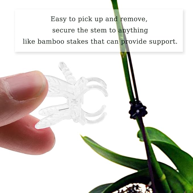 Watris Veiyi 100Pcs Plant Orchid Support, Garden Dragonfly Orchid Clips, Portable Cute Flower Vine Clips (Transparent)