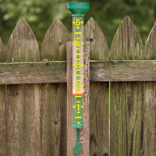 A.M. Leonard Jumbo Rain Gauge, Green, Read from 50-Foot Distance