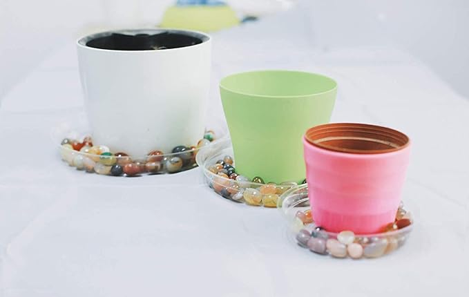 TRUEDAYS 6 Inch 5 Pack Clear Plant Saucers Flower Pot Tray Excellent for Indoor & Outdoor Plants
