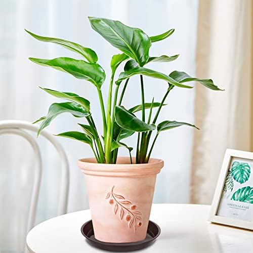 VUWEZ 6 Pack of 12 inch Plant Saucer, Plastic Plant Saucer 12" Round, Plant Saucers for Indoors, Plant Water Tray, Plant Trays for Pots, Planter Tray, Plant Saucers for Planter 11-13" (12", Brown)