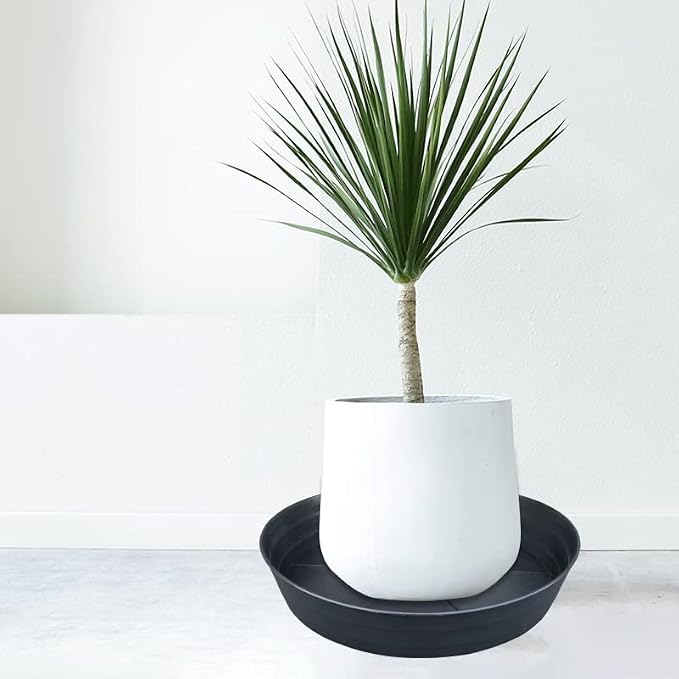 20 Inch Extra Large Plant Saucers, Extra-Deep 3.7 in Black Drip Trays for Flower Pot, Heavy Duty Drainage Tray Indoors No Holes, 2 Pack Plastic Planter Plate Water Catcher for Pots Base 16 17 18 in