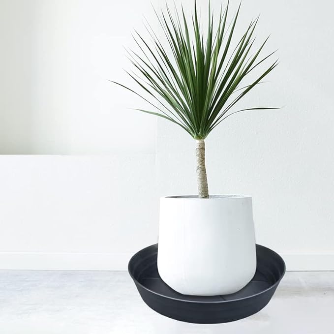 LWALRS Plant Saucer 14 Inch 2 Pack 10 12 14 16 18 20 25, Plastic Plant Trays for Pots，Extra-Deep Plant Water Dray Tray, Bird Bath Bowl, Heavy Flower Plant Saucers Indoors and Outdoor No Holes