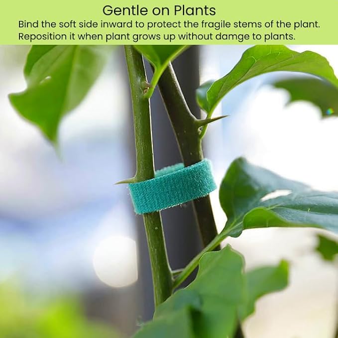 Plant Ties Hook and Loop Garden Tapes 1/2'' Wide Fabric Fastening Tape Double Sided Self Gripping Strap Reusable Adjustable Cable Ties Garden Vines Ties, Soft Plant Tie (1/2 Inch x 32 ft, Green)