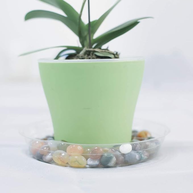 TRUEDAYS 8 Inch 5 Pack Clear Plant Saucers Flower Pot Tray Excellent for Indoor & Outdoor Plants