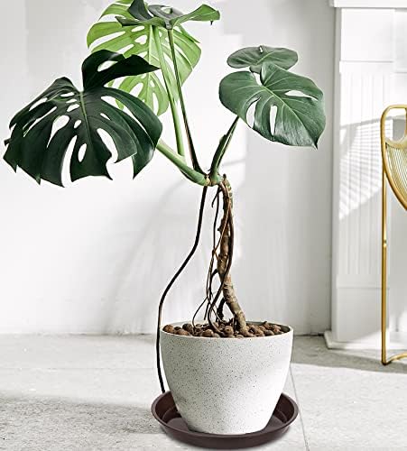 VUWEZ 6 Pack Plant Saucer Tray, 4 6 8 10 12 15 16 18 20 inch Plant Saucers for Indoors, Durable Plastic Flower Plant Water Drip Trays Round, Pot Saucers, Plant Trays for Pots (4", Brown)