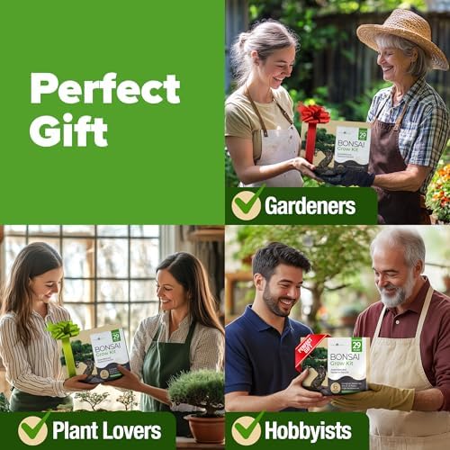 HOME GROWN 𝗨𝗦𝗔 𝗣𝗥𝗘𝗠𝗜𝗨𝗠 Zinnia Dahlia Seeds 524 & HOME GROWN 𝗨𝗦𝗔 Bonsai Tree Kit – 6 Heirloom