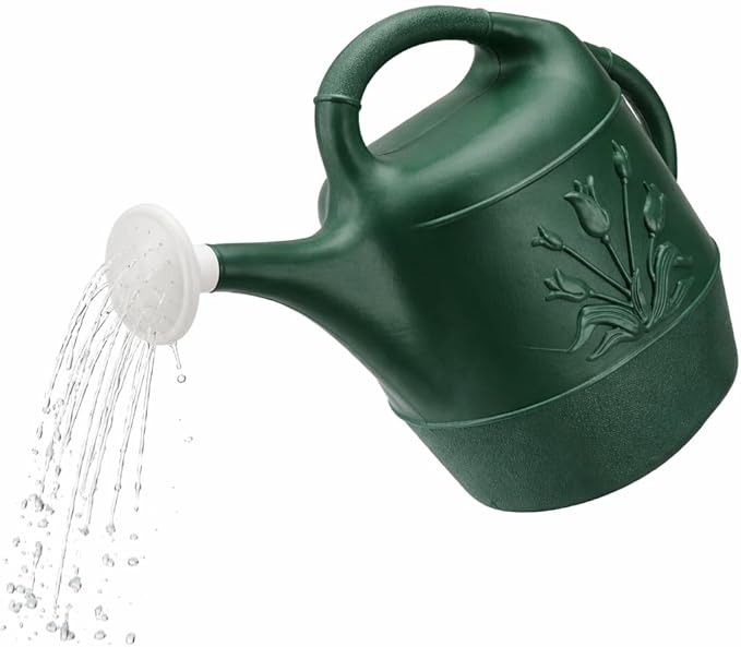 PMU 2 Gallon Watering Can - Garden Watering Can for Indoor & Outdoor Plants - Plastic Water Can with Detachable Sprinkler Head - Large Water Pot, Made in USA - Hunter Green Pkg/6