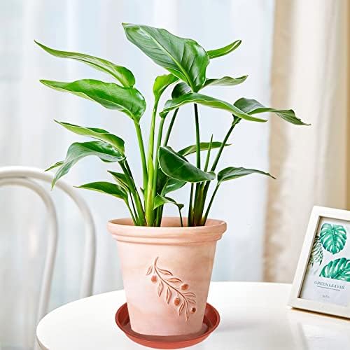 VUWEZ 6 Pack of Plant Saucer 14 Inch (12 Inch Base), 14 Inch Plant Saucer, Plastic Plant Trays for Pots, Plant Saucers for Indoors Round, Planter Tray for Planter 11"/12"/13" (14", Terracotta)