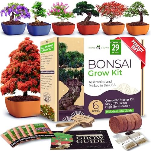HOME GROWN 𝗨𝗦𝗔 𝗣𝗥𝗘𝗠𝗜𝗨𝗠 Zinnia Dahlia Seeds 524 & HOME GROWN 𝗨𝗦𝗔 Bonsai Tree Kit – 6 Heirloom