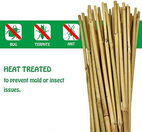 Mininfa Natural Bamboo Stakes 2 Feet, Eco-Friendly Garden Stakes, Plant Stakes Supports Climbing for Tomatoes, Trees, Beans, 30 Pack