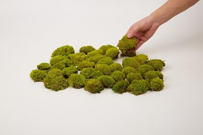Preserved Pole Moss Pillow Bun Cushion Natural Decorative Real Natural Green DIY Kit Gardenning Art Wall Decor Florist Decor Easter Table Decor Wedding (1.5 sq.ft, Green-D)