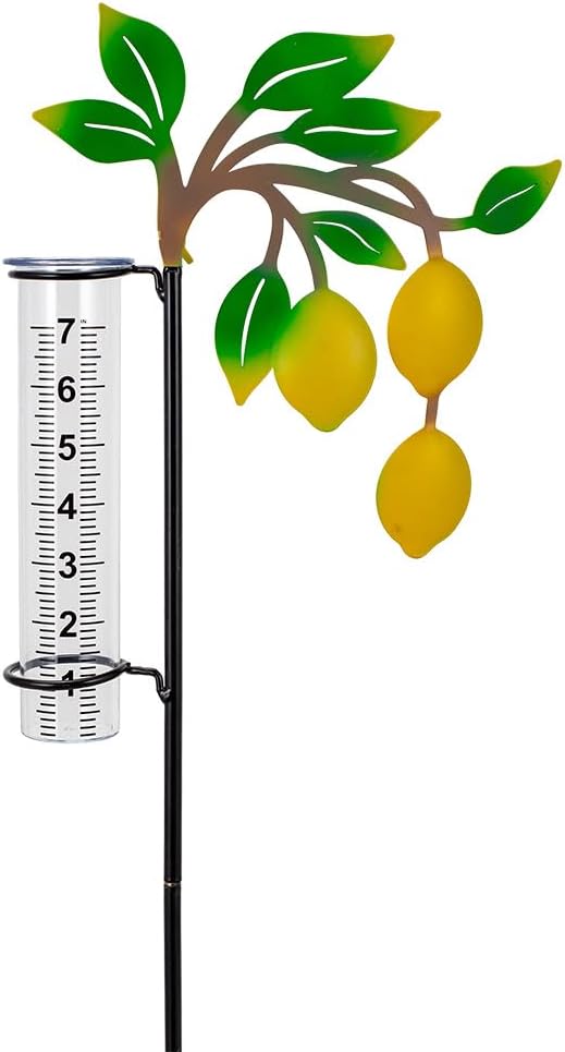 Rain Gauge with 7-Inch Tube, Unique Rain Gauge Outdoor, Decorative Rain Water Gauge for Garden, Yard, Lawn