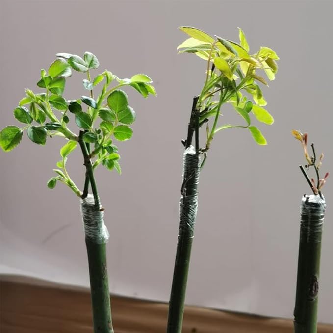 Garden Grafting Tape Plant Repair Tapes 3cm, Stretchable Self-Grafting Clear Film for Fruit, Floral, Tree and Plants (3 PCS)