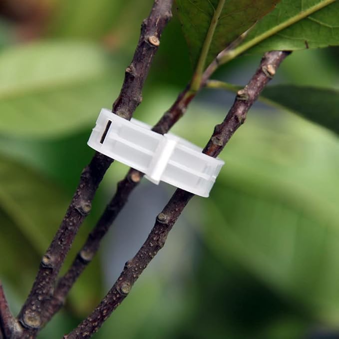 100 Pcs Garden Plant Support Clips, Tomato Clips, Plant Ties, Trellis Clips, Tomato Vine Vegetables Plants Trellis Clips to Grow Upright Makes Plants Healthier (White)