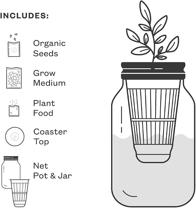 Modern Sprout Mason Garden Jar - Self-Watering Hydroponics Growing System Kit w/Organic Herb Seeds - Sprouting Jar Planter for Indoor Herb Garden -Seed Starter Kit - Home Decor & Gifting - Basil+Mint