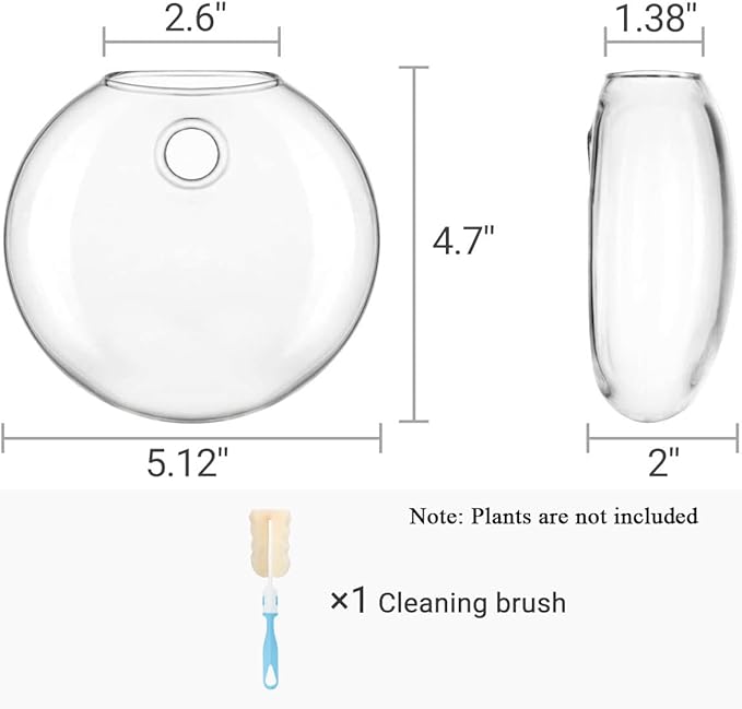 Mkono Wall Hanging Planter Propagation Station Glass Flower Vase for Hydroponics Plants, Bathroom, Home Office Living Room Decor Gift, Oblate Set of 3(Plants not Included)