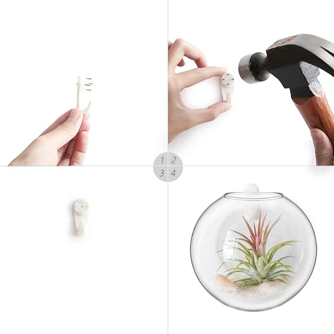 Mkono Wall Hanging Planter Propagation Station Glass Flower Vase for Hydroponics Plants, Bathroom, Home Office Living Room Decor Gift, Oblate Set of 3(Plants not Included)