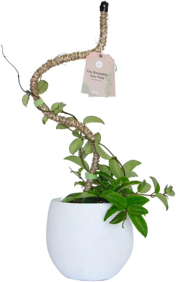 Mossify Bendable Coir Pole for Plants – 30” Premium Manila Coir Moss Pole Monstera Plant Support for Indoor & Outdoor Plant Climbing Support - Comes with Reusable Tape for Durable Plant Pole
