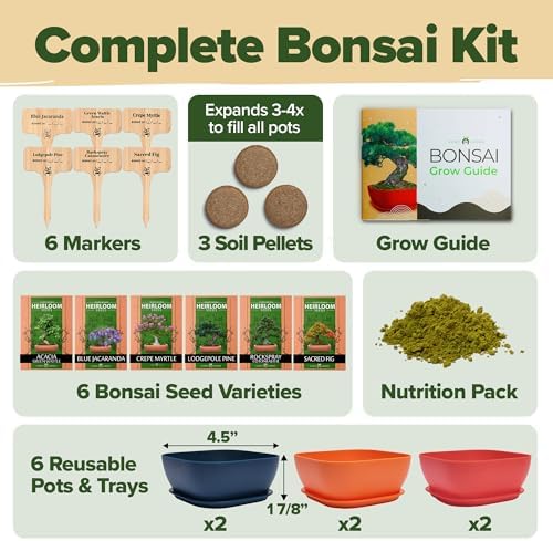HOME GROWN 𝗨𝗦𝗔 𝗣𝗥𝗘𝗠𝗜𝗨𝗠 Zinnia Dahlia Seeds 524 & HOME GROWN 𝗨𝗦𝗔 Bonsai Tree Kit – 6 Heirloom