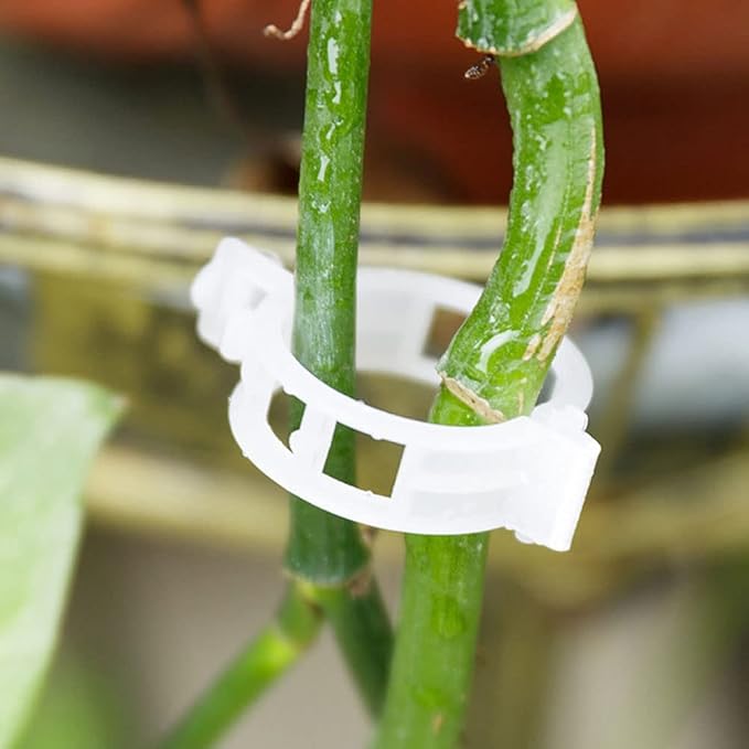 100 Pcs Garden Plant Support Clips, Tomato Clips, Plant Ties, Trellis Clips, Tomato Vine Vegetables Plants Trellis Clips to Grow Upright Makes Plants Healthier (White)