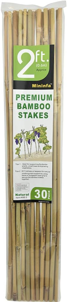 Mininfa Natural Bamboo Stakes 2 Feet, Eco-Friendly Garden Stakes, Plant Stakes Supports Climbing for Tomatoes, Trees, Beans, 30 Pack