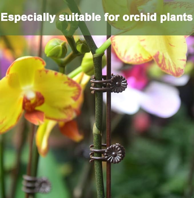 Orchid Clips for Plants Support (100, Green) for Small - Middle Climbing Plants Vine Plants & Single Stem Plants