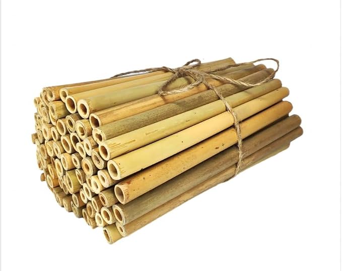 INature 100-Pack 6-Inch Natural Bamboo Tubes - Eco-Friendly Mason Bee House Refills | Perfect for Bee Hotels, Pollinator Boxes | Solitary Bee Hive Supplies