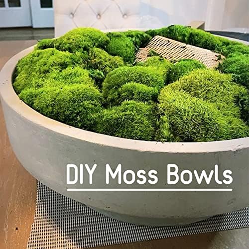 Preserved Pole Moss Pillow Bun Cushion Natural Decorative Real Natural Green DIY Kit Terrariums Gardenning Art Wall Decor Florist Decor Easter Table Decor Wedding(6.0 sq.ft., Green-B)