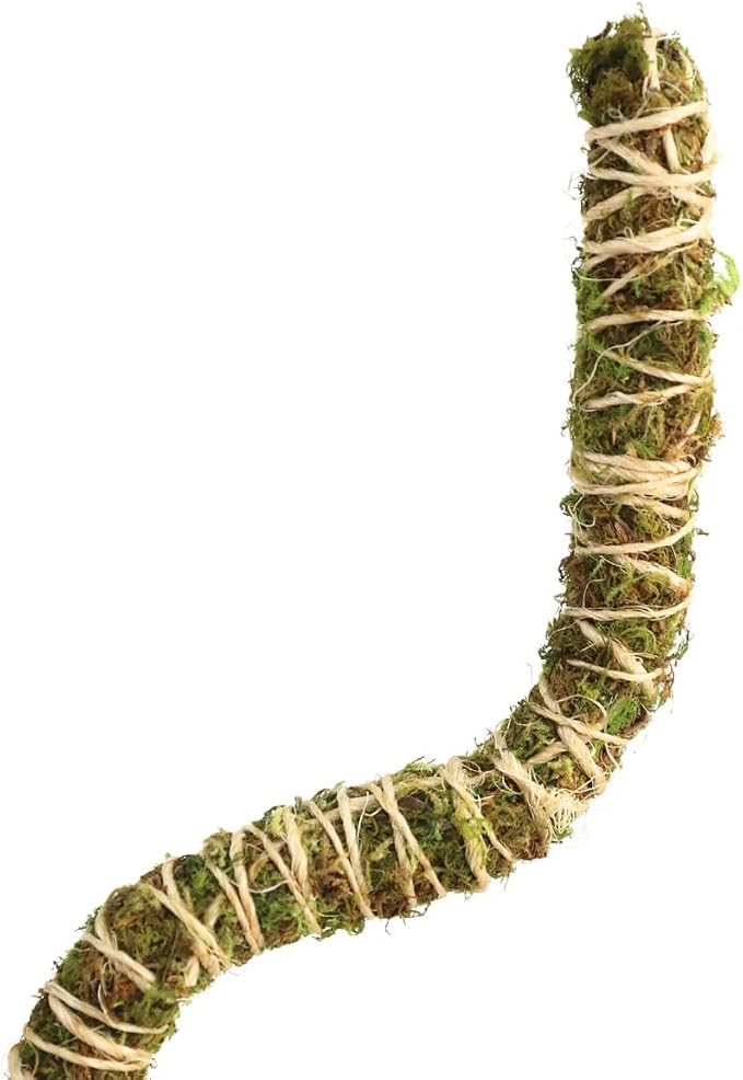 Mossify 16" Thin Bendable Moss Poles – 3-Pack | Flexible Plant Support Stakes for Climbing Plants, Vines, Monstera & Pothos | Natural Coconut Fiber Moss Stick for Indoor & Outdoor Use