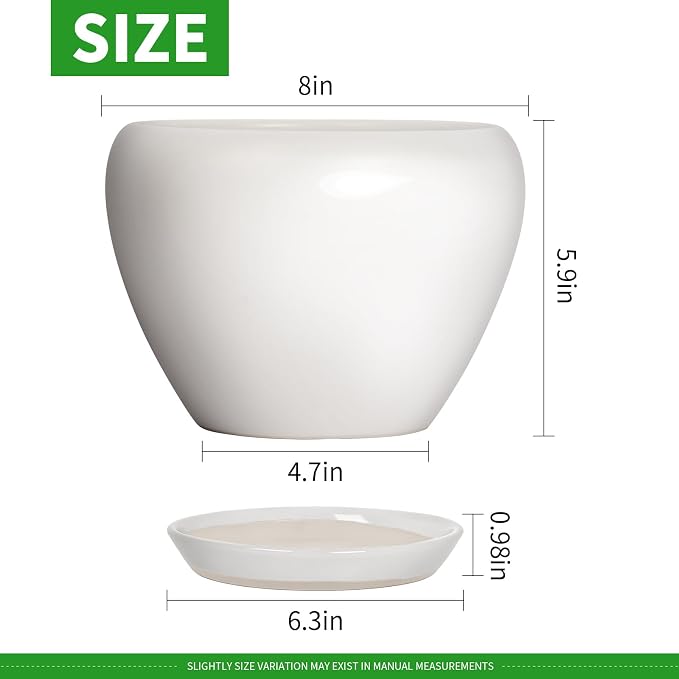 Deep Dream 8 Inch Plant Pot - Ceramic Planter with Drainage Hole and Trays, Modern Round Flower Pot, Planters for Indoor Outdoor Plants, Home Garden Decor, White